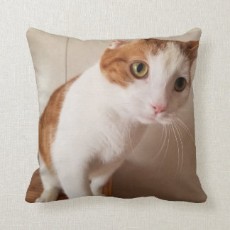 Cheeto pillow