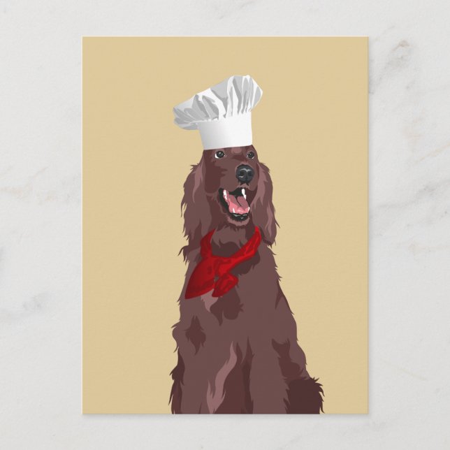 Chef Irish Red Setter Dog for Dog Lovers Postcard (Front)
