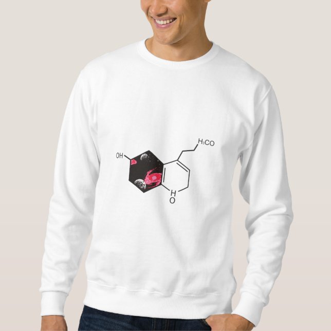 Chemical molecule with outer space view sweatshirt (Front)