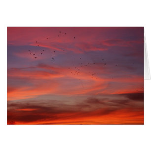 Chemical skies 6