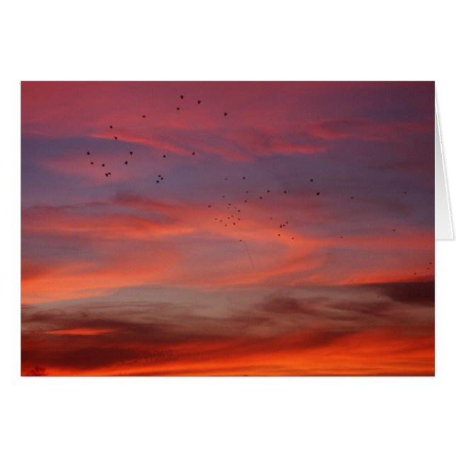 Chemical skies 6 (Front Horizontal)
