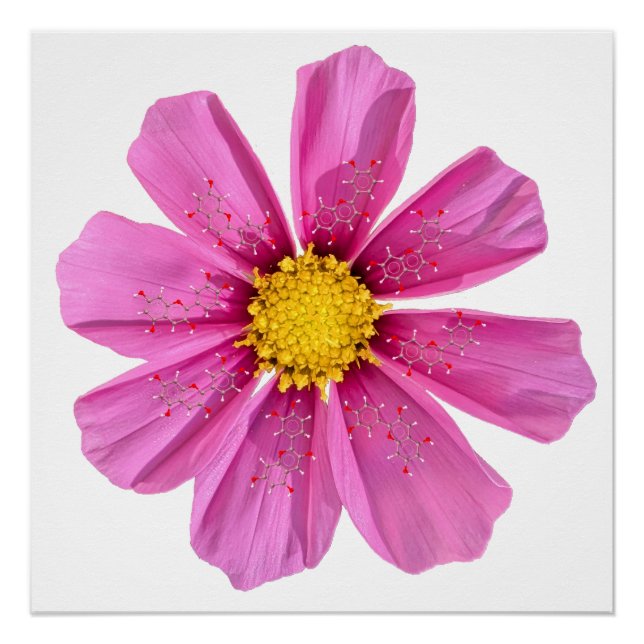 Chemistry Flower Science Classroom Wall Decor (Front)