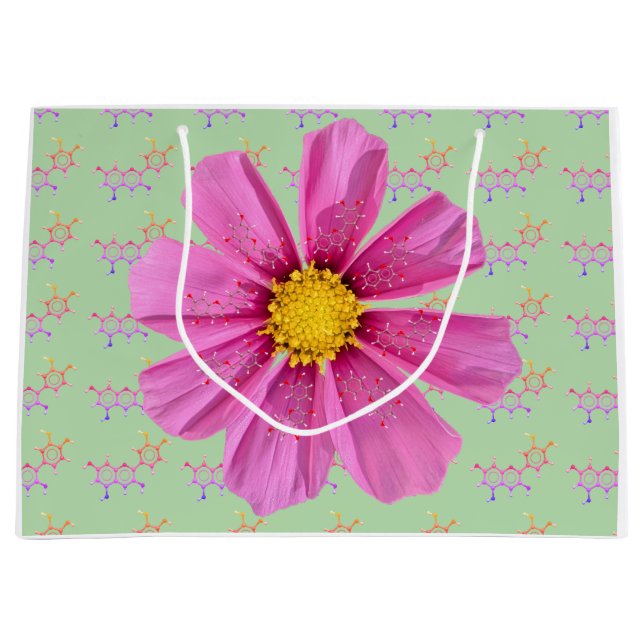 Chemistry Garden Party Gift Bag (Front)