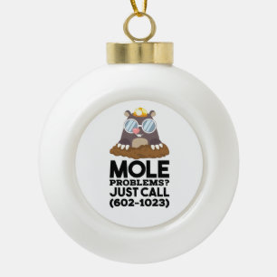 Chemistry - Mole Problems Ceramic Ball Christmas Ornament
