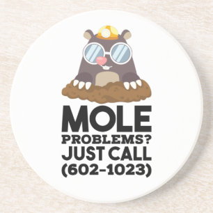Chemistry - Mole Problems Coaster