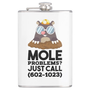 Chemistry - Mole Problems Hip Flask