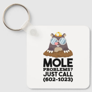 Chemistry - Mole Problems  Key Ring