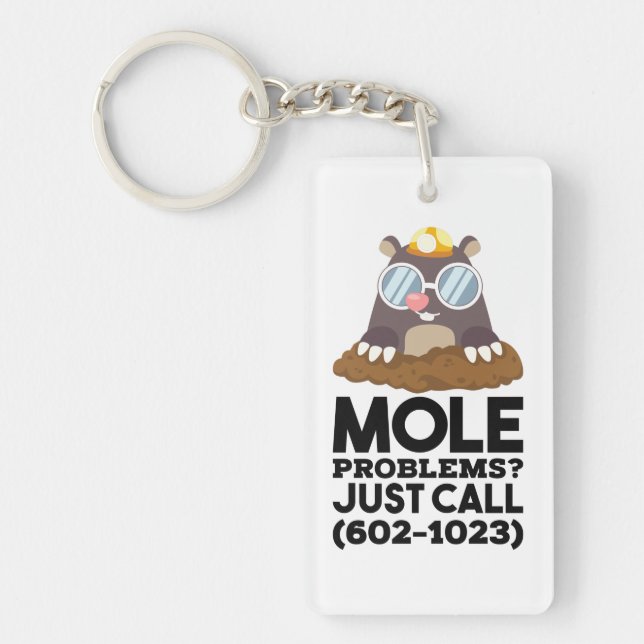Chemistry - Mole Problems  Key Ring (Front)