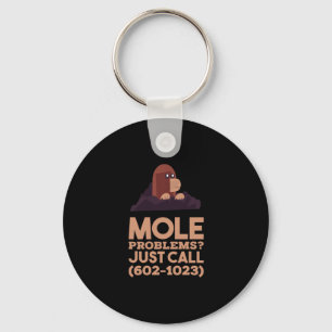 Chemistry - Mole Problems Key Ring