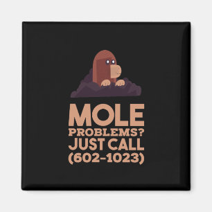 Chemistry - Mole Problems Magnet