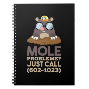 Chemistry - Mole Problems Notebook
