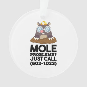 Chemistry - Mole Problems Ornament