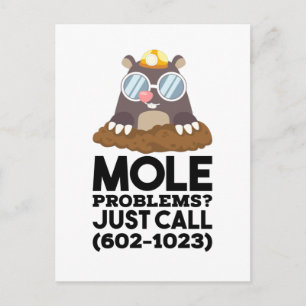 Chemistry - Mole Problems  Postcard
