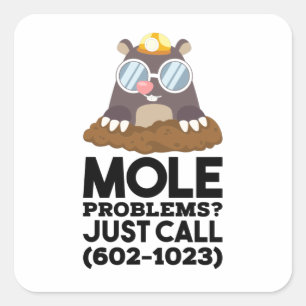 Chemistry - Mole Problems Square Sticker
