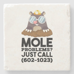 Chemistry - Mole Problems Stone Coaster