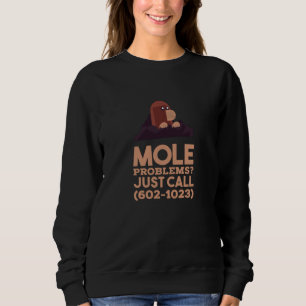 Chemistry - Mole Problems Sweatshirt