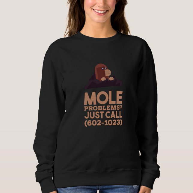 Chemistry - Mole Problems Sweatshirt (Front)