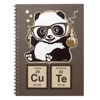 Chemistry panda discovered cute notebook