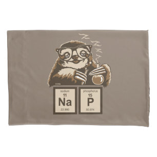 Chemistry sloth discovered nap pillowcase
