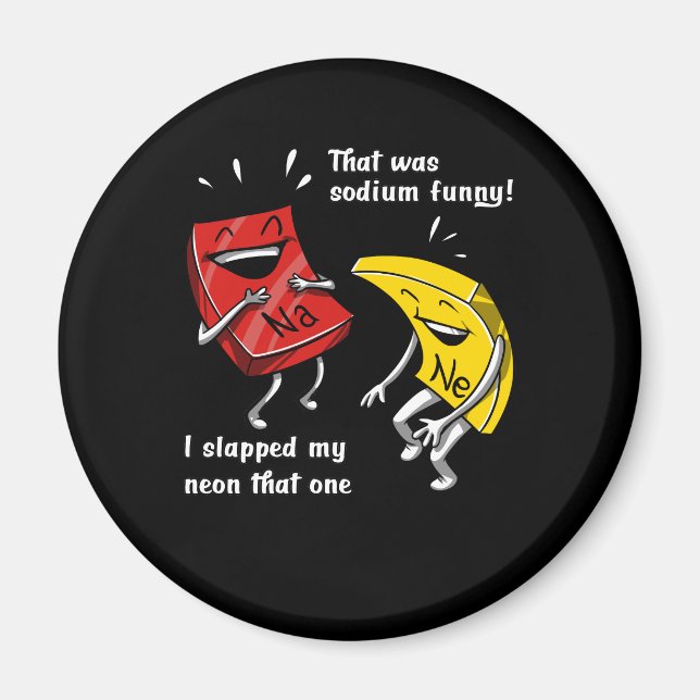 Chemistry That Was Sodium Funny Science Joke Magnet (Front)
