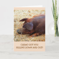 Chemo Encouragement Funny Pig Card