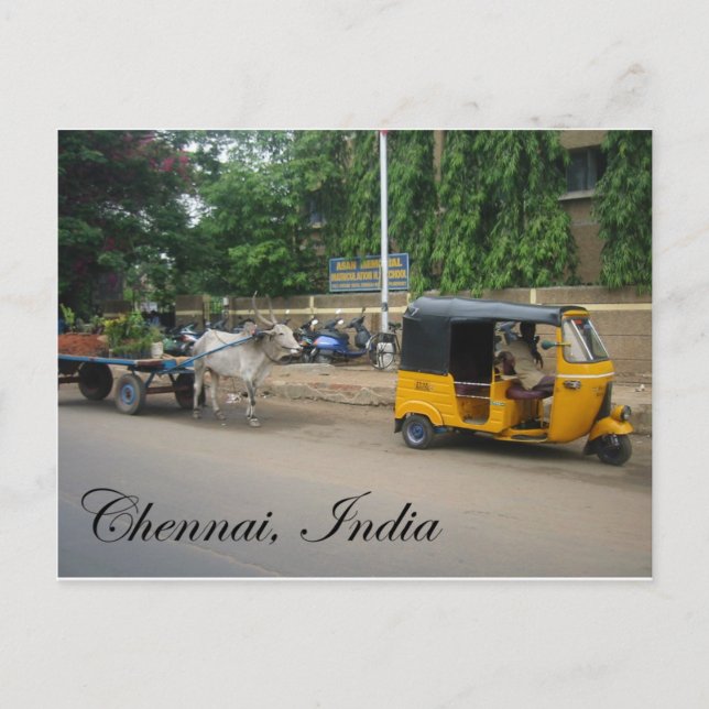 Chennai, India Postcard (Front)