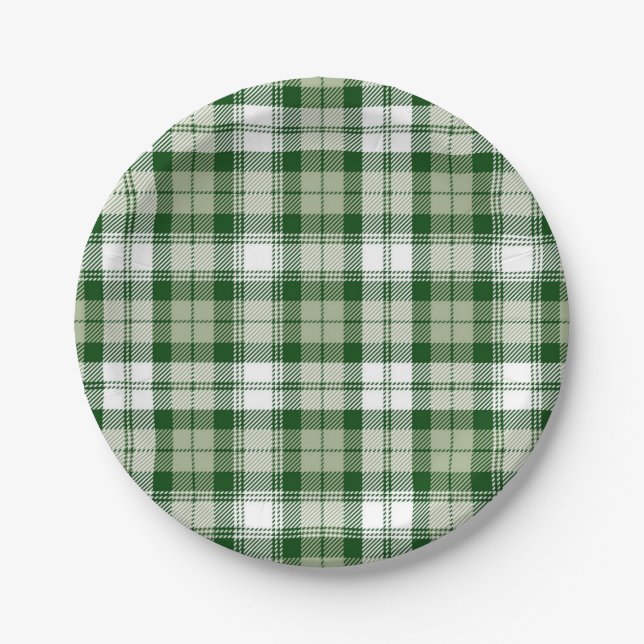 Chequered pattern paper plate (Front)