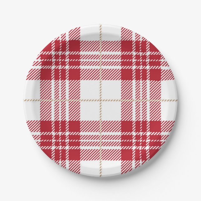 Chequered pattern paper plate (Front)