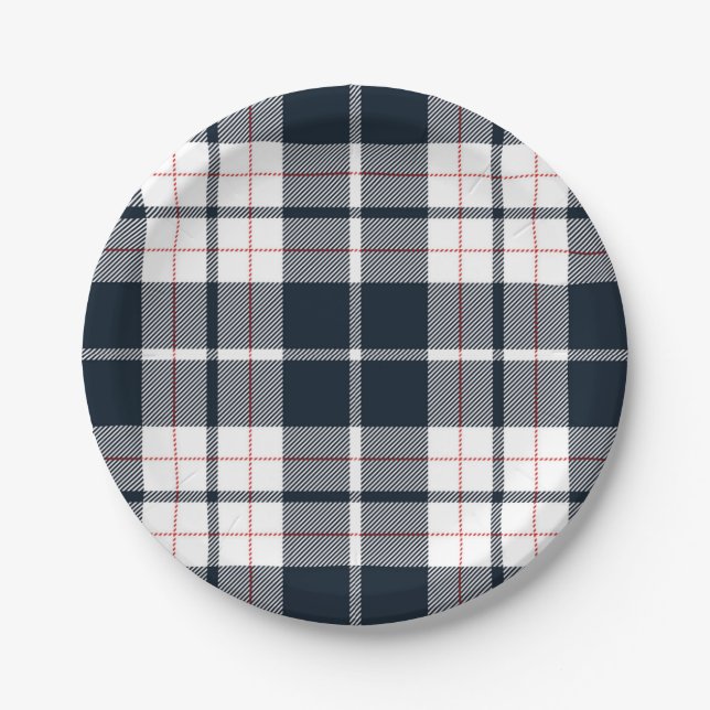 Chequered pattern paper plate (Front)