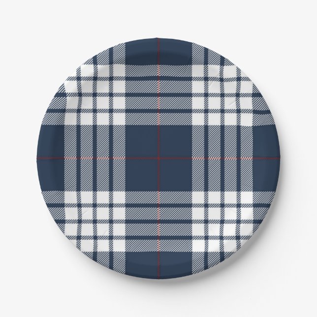 Chequered pattern paper plate (Front)
