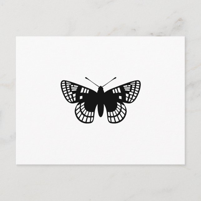 Chequered Spot Butterfly Postcard (Front)