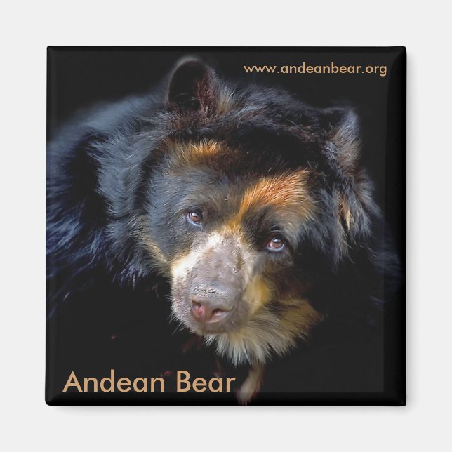 Cheri McEachin Magnet (Front)