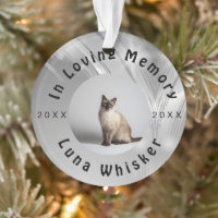 Cherished Cat Photo Memory Frame Art