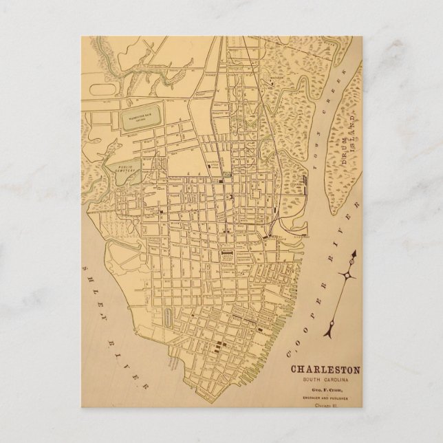 Cherleston SC Vintage Mapt Postcard (Front)