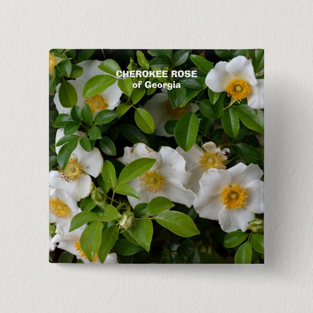 Cherokee Rose 15 Cm Square Badge (Front)