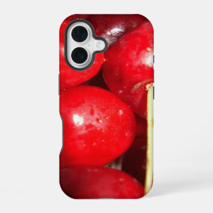 Cherries Art Photo iPhone 16 Case