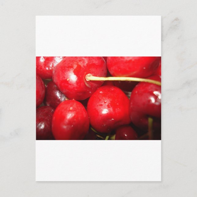Cherries Art Photo Postcard (Front)