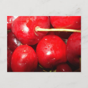 Cherries Art Photo Postcard