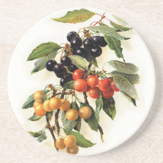 Cherries Botanical Print Coaster