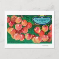 Cherries from the Cherry CityThe Dalles, OR