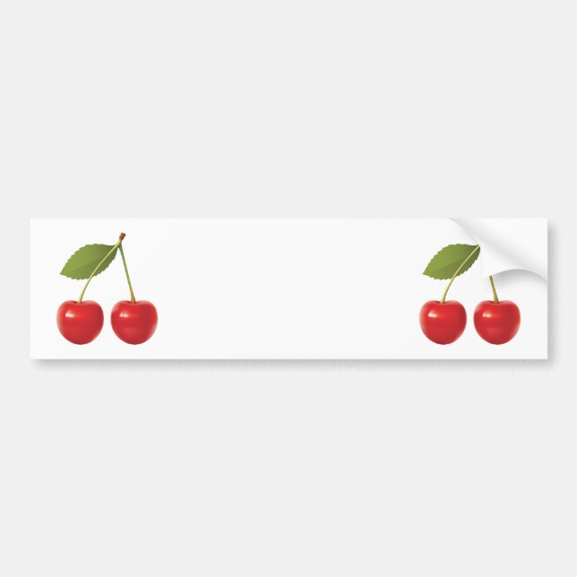 CHERRIES ON STEM BUMPER STICKER (Front)