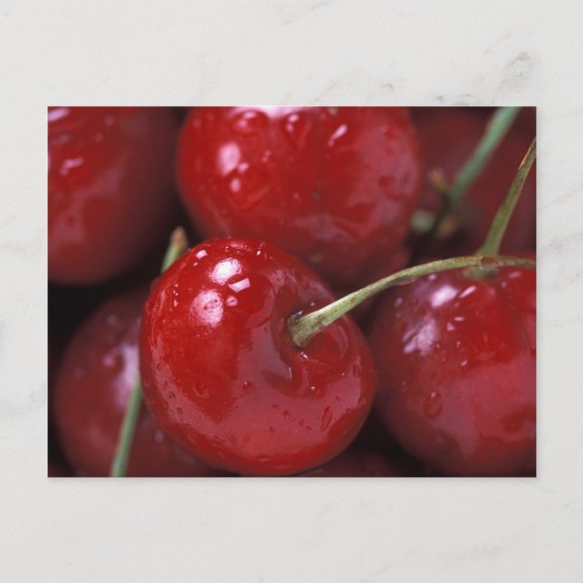 CHERRIES POSTCARD (Front)