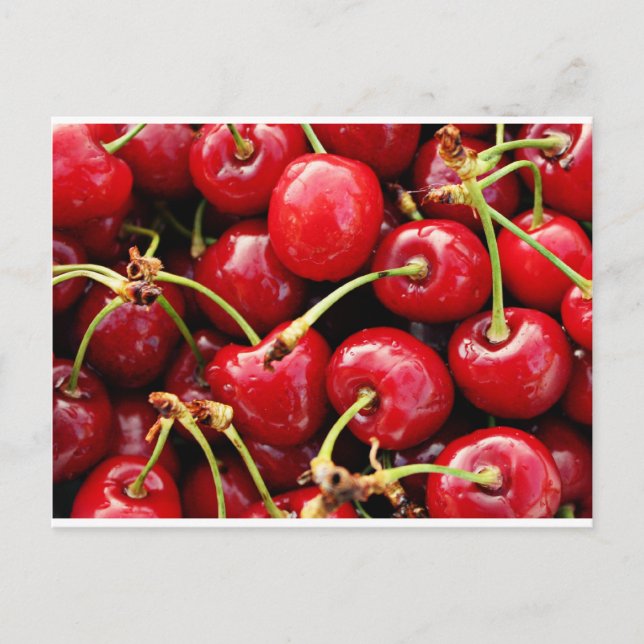 Cherries Postcard (Front)