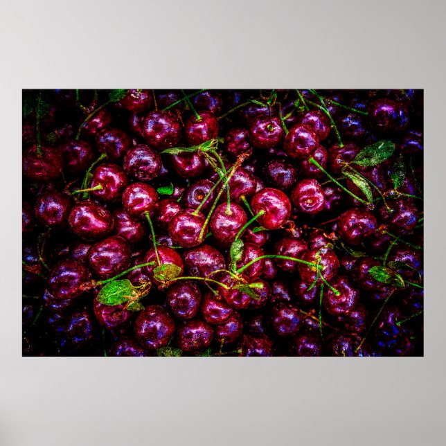 Cherries Poster (Front)