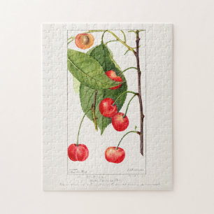 Cherries (Prunus Avium) Fruit Watercolor Painting Jigsaw Puzzle