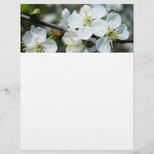 Cherry bloom flyer