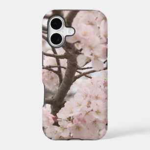 Cherry Blossom