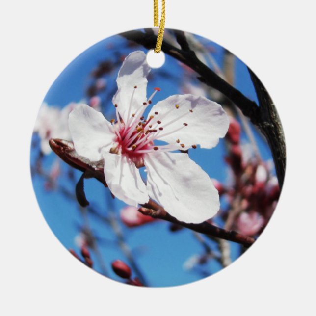 Cherry Blossom 2 Ceramic Tree Decoration (Front)