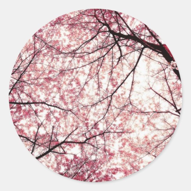 cherry blossom 2 classic round sticker (Front)