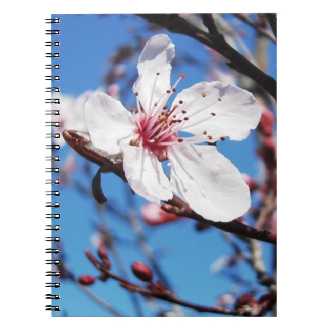 Cherry Blossom 2 Notebook (Front)